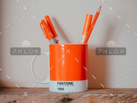 demo-attachment-553-Portfolio_image9